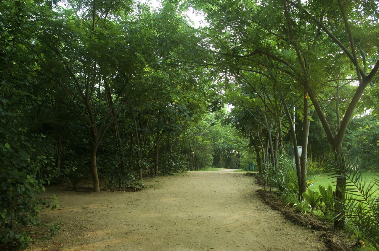 The Riverwood Forest Retreat Pench Khawāsa Exterior foto